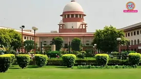 related-article-banner-image