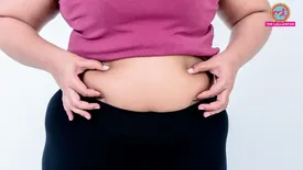 related-article-banner-image