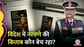 related-article-banner-image