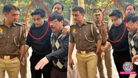 related-article-banner-image