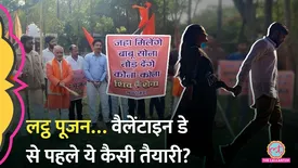 related-article-banner-image