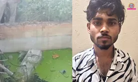 related-article-banner-image