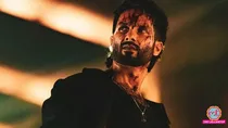 o romeo, shahid kapoor, 