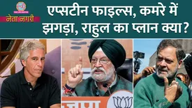 related-article-banner-image