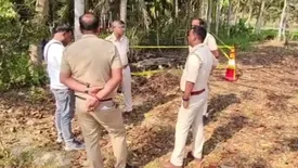 related-article-banner-image