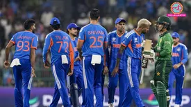 related-article-banner-image