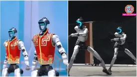 related-article-banner-image