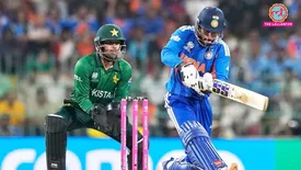 related-article-banner-image