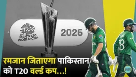 related-article-banner-image