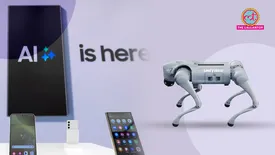 related-article-banner-image