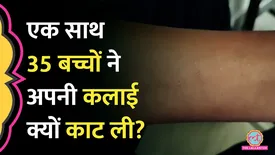 related-article-banner-image