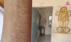 related-article-banner-image