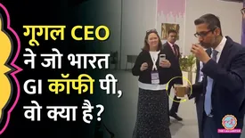 related-article-banner-image