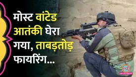 related-article-banner-image