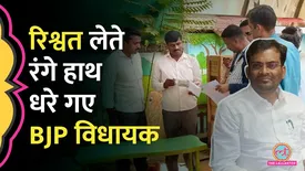 related-article-banner-image