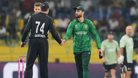 related-article-banner-image