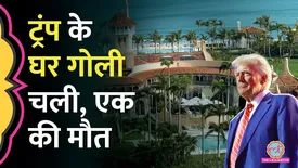 related-article-banner-image