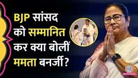 related-article-banner-image