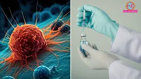 related-article-banner-image