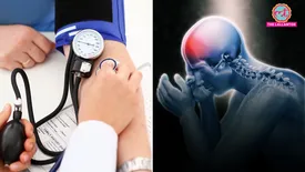 related-article-banner-image