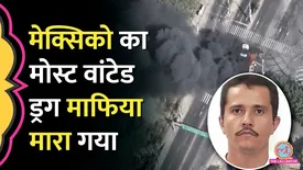 related-article-banner-image