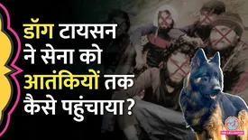 related-article-banner-image