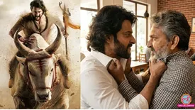 related-article-banner-image