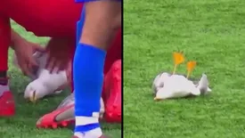 related-article-banner-image