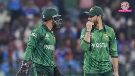 related-article-banner-image