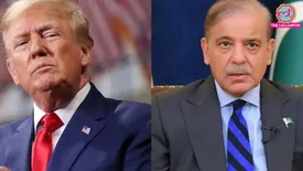 related-article-banner-image