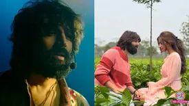 related-article-banner-image