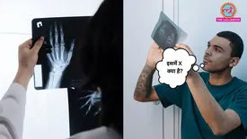 related-article-banner-image