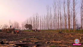 related-article-banner-image