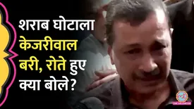 related-article-banner-image