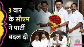 related-article-banner-image