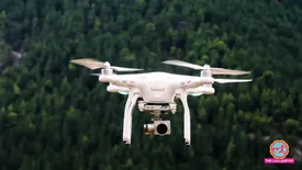 related-article-banner-image