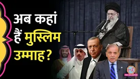 related-article-banner-image