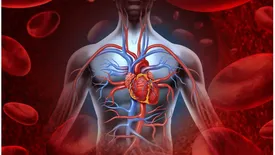 related-article-banner-image