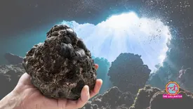 related-article-banner-image