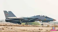 us israel joint strike destroys  iran air force f14 tomcat fighter jet