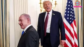 related-article-banner-image