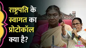 related-article-banner-image