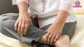 related-article-banner-image