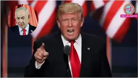 related-article-banner-image