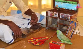 related-article-banner-image