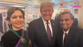 related-article-banner-image