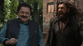 related-article-banner-image