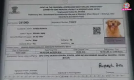 related-article-banner-image