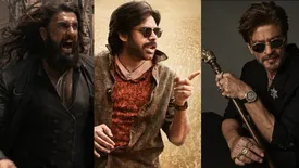 related-article-banner-image