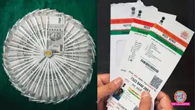 related-article-banner-image